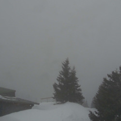 Webcam  / Rettenberg - Grünten