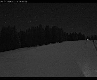 Haldenköpfle / Schwarzwald