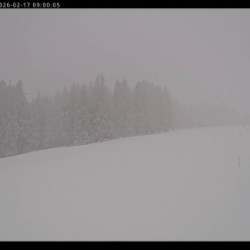 Webcam  / Haldenköpfle