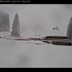 Webcam  / Haldenköpfle