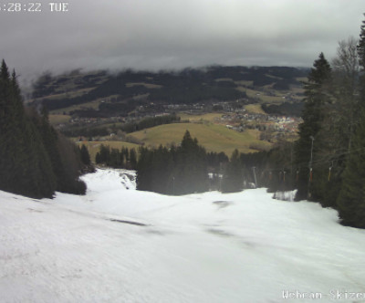Hinterzarten / Schwarzwald