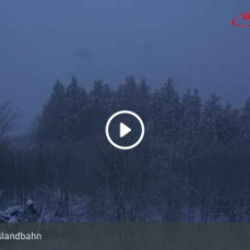 Webcam Bergstation / Hofsgrund - Schauinsland