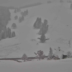 Webcam  / Stollenbach