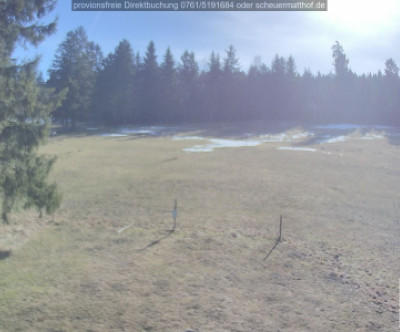 Todtnauberg / Schwarzwald