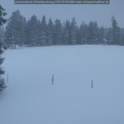 Webcam Scheuermattwiese / Todtnauberg
