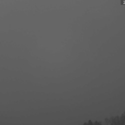Webcam Felddbergblick / Todtnauberg