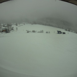 Webcam Waldfrieden / Todtnauberg