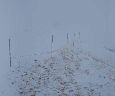 Fellhorn - Kanzelwand / Tirol