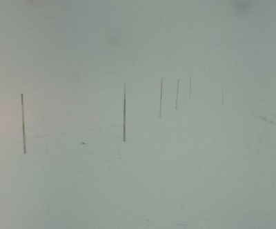 Fellhorn - Kanzelwand / Allgäu