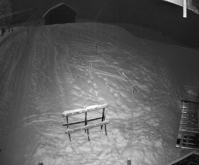 Fellhorn - Kanzelwand / Allgäu