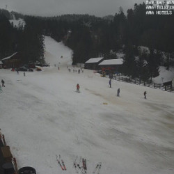 Webcam Talstation / Poiana Brasov
