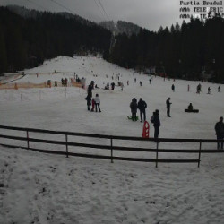 Webcam Bradul / Poiana Brasov