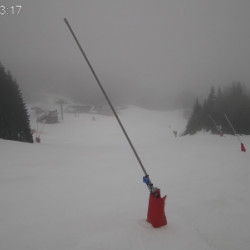 Webcam  / Kubinska Hola