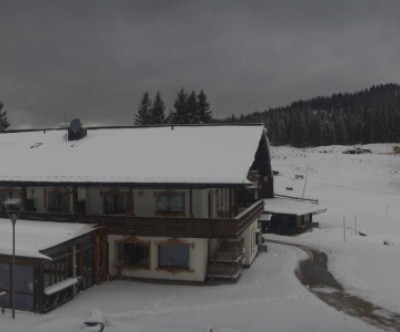 Steinplatte - Winkelmoosalm / Tirol