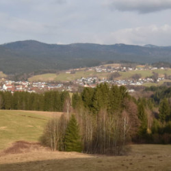 Webcam  / Drachselsried-Riedlberg