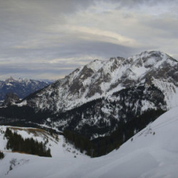 Webcam  / Pfronten - Steinach