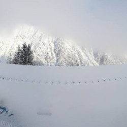 Webcam Gulmabahn / Brandnertal