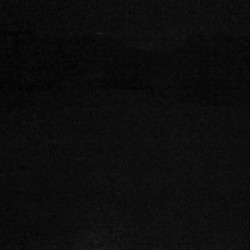 Webcam Streuböden Bergstation / Fieberbrunn