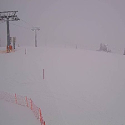Webcam Streuböden Bergstation / Saalbach Hinterglemm