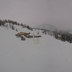 Webcam Loosbühelalm / Dorfgastein