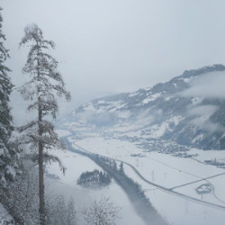 Webcam Gasthof Zimmereben / Mayrhofen - Ahorn