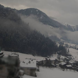 Webcam Hippach / Mayrhofen - Ahorn