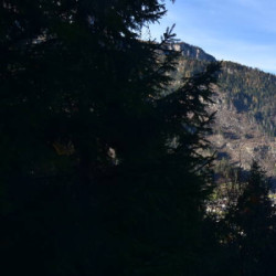 Webcam Ortsblick / Lanersbach - Eggalm