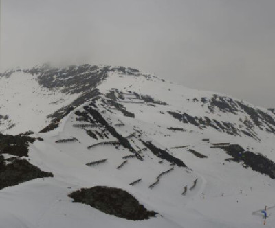 Mayrhofen - Ahorn / Tirol