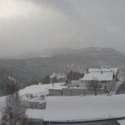 Webcam Reith bei Seefeld / Oberperfuss - Rangger Köpfl