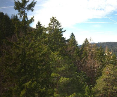 Seefeld - Gschwandtkopf / Tirol