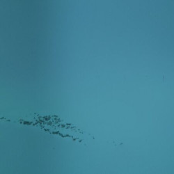 Webcam Rettenbachferner / Sölden