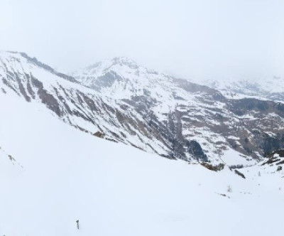 Mayrhofen - Ahorn / Tirol