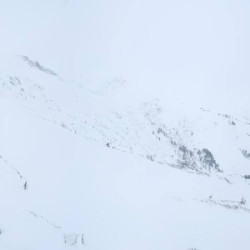 Webcam Eggalm / Mayrhofen - Ahorn