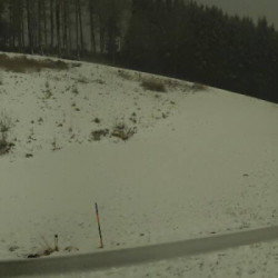 Webcam Weyregg am Attersee / Weyregg am Attersee