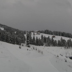 Webcam Fichtensee / Zillertal Arena