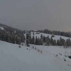 Webcam Fichtensee / Zell am Ziller