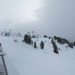 Webcam Kreuzwiese / Zillertal Arena