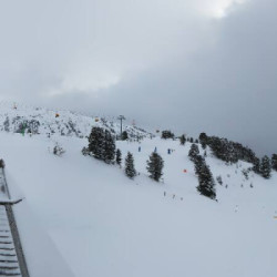 Webcam Kreuzwiese / Gerlos