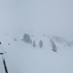 Webcam Kreuzwiese / Königsleiten