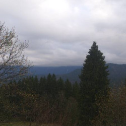 Webcam Elmauer Alm / Mittenwald - Dammkar