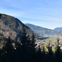 Webcam Ortsblick / Mayrhofen - Ahorn