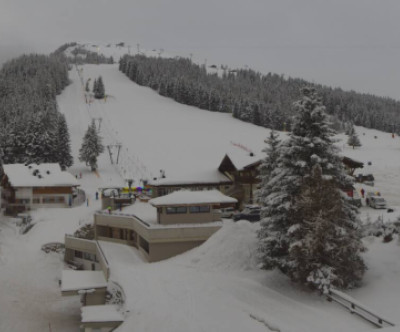 Zell am Ziller / Tirol