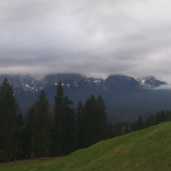 Webcam Elmauer Alm / Mittenwald - Dammkar