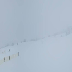 Webcam Kreuzwiese / Königsleiten