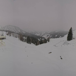 Webcam Loosbühelalm / Dorfgastein