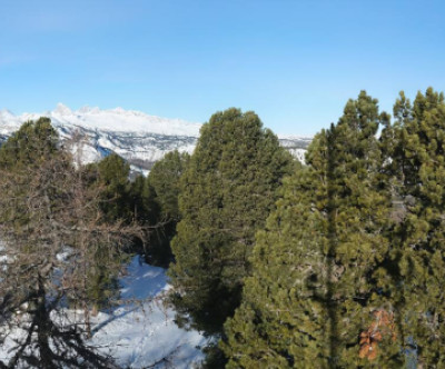 Stoderzinken / Steiermark