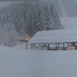 Webcam Bikepark, Streuböden Talstation (836m) (Preview OG / Saalbach Hinterglemm