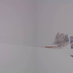 Webcam Streuböden Bergstation / Saalbach Hinterglemm