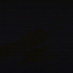 Webcam Braunkogel / Wildkogel