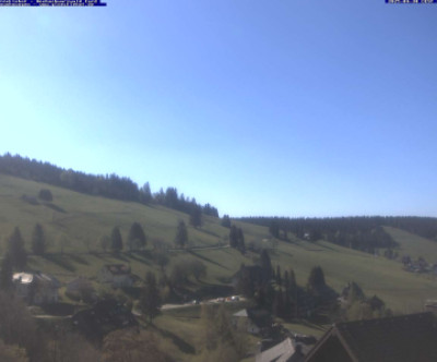 Todtnauberg / Schwarzwald